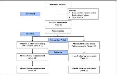 Fig. 1 Study flow diagram