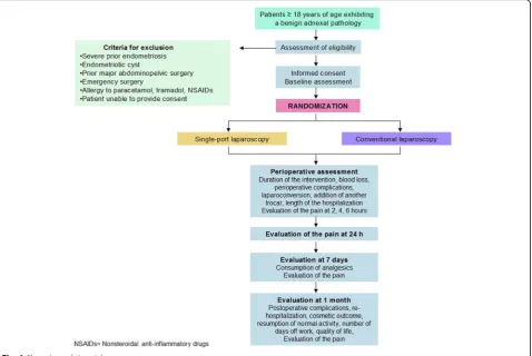 Fig. 1 Flow chart of the trial
