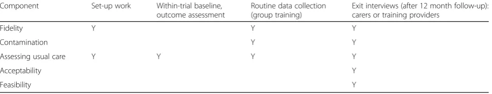 Table 2 Summary of key process evaluation components (phase 2)