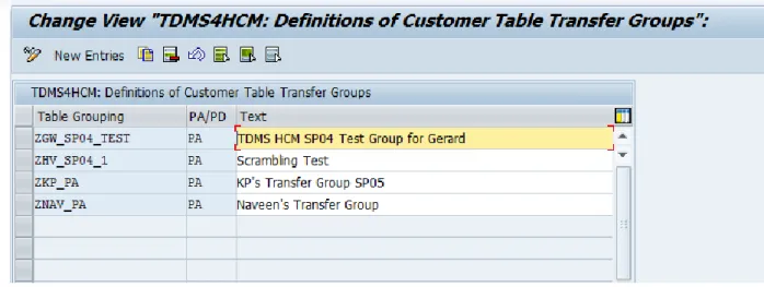 Figure 18: The SAPGUI Screen to Execute the Activity Define Table Transfer Groups  The Table Transfer Groups screen opens