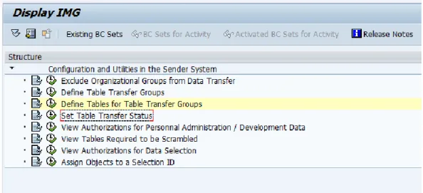Figure 28: The SAPGUI Screen to Execute the Activity Set Table Transfer Status 