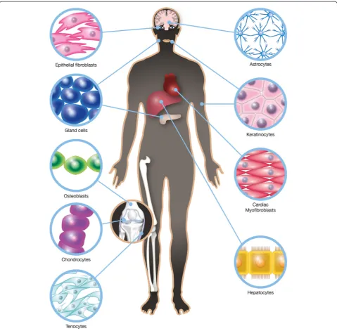Fig. 1 Schematic illustration highlighting the different organs in the body that comprise cells coupled into networks