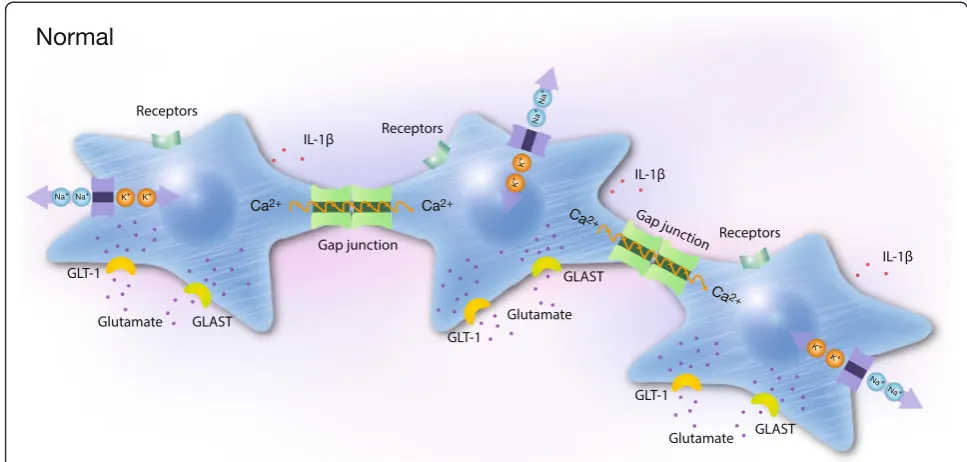 Fig. 2 Schematic illustration of three cells coupled in networks under physiological conditions