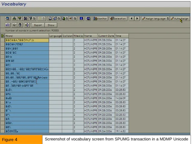 Figure  4  Screenshot of vocabulary screen from SPUMG transaction in a MDMP Unicode  conversion project