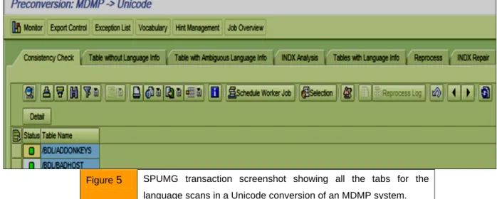 Figure  5  SPUMG  transaction  screenshot  showing  all  the  tabs  for  the  language scans in a Unicode conversion of an MDMP system