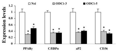 Figure 4pogenesisODC-AS knockdown and qRT-PCR of marker genes in adi-ODC-AS knockdown and qRT-PCR of marker genes in adipogenesis
