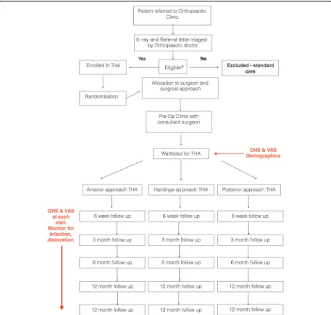 Fig. 2 Trial flow pathway. OHS, Oxford Hip Score; THA, total hip arthroplasty; VAS, visual analogue scale