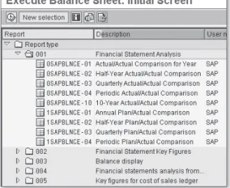 Figure 1.6 shows various balance sheet reports with different time peri- peri-ods for the classic general ledger.