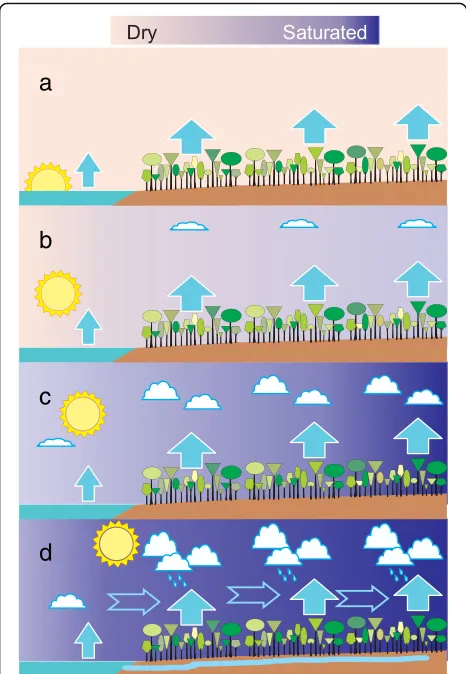 Fig. 3 A schematic of how condensation driven winds developbetween ocean and forest. a Morning: the atmosphere is still anddry (pink colour)