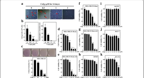 Fig. 2 CoQformation were analyzed by MTT assay and mammosphere formation assay, respectively.MDA-MB-231-Brain-erb2 (with CoQpresented as the mean ± SD of three independent assays