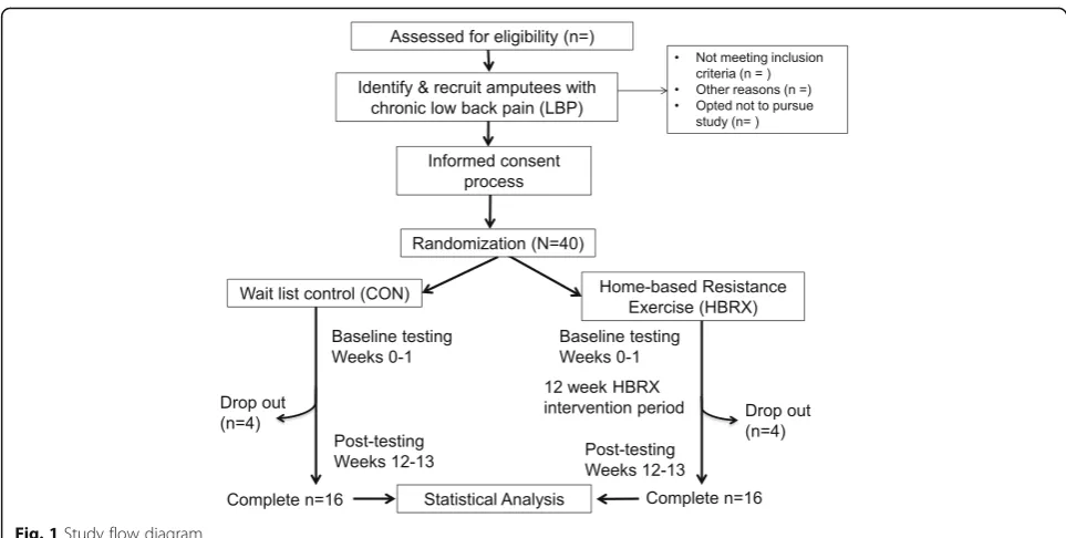 Fig. 1 Study flow diagram