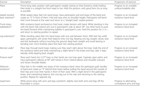 Fig. 3 Elastic resistance band set and stability pad equipment for the home-based resistance