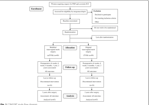 Fig. 1 CONSORT study flow diagram