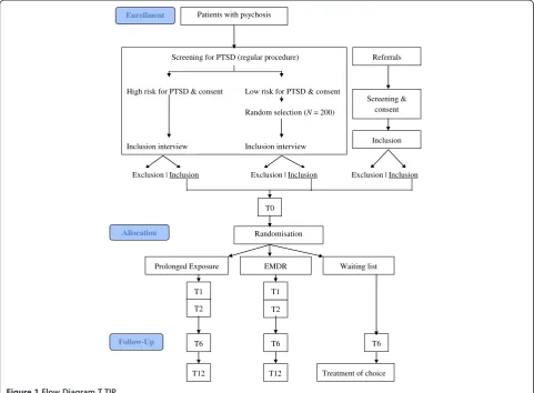 Figure 1 Flow Diagram T.TIP.