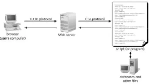 Figure 3: CGI Protocol Architecture 