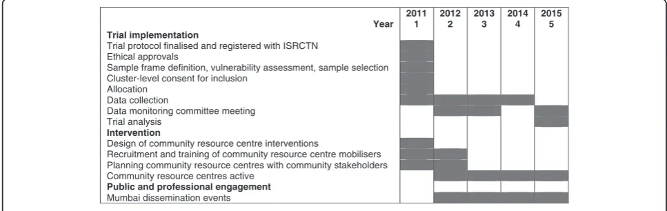 Figure 3 Program timeline.