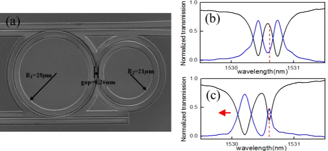 Figure 5. (a) The SEM image of the two-ring-two-bus system. (b) The measured trans- mission at initial state