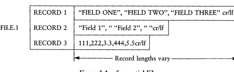 Figure 5-1. Sequential File 