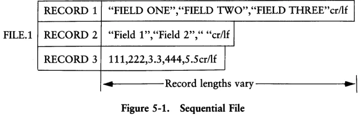 Figure 5-1. Sequential File 