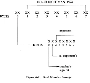Figure 6-2. Real Number Storage 