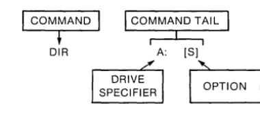 Figure 3-1. DIR Command and Command Tail 