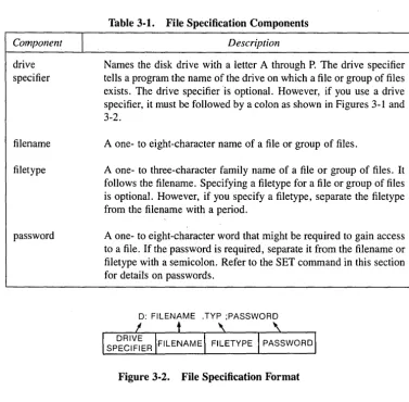 Figure 3-2. File Specification Format 