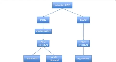 Figure 1 Flow chart of axillary reverse mapping (ARM) trial. ALND, Axillary lymph node dissection; cALND, complementary axillary lymphnode dissection based on a tumor-positive sentinel node; pALND, primary axillary lymph node dissection based on a tumor-positive axilla provenby pre-operative cytology; ARM-ALND axillary lymph node dissection with preservation of the upper limb-related axillary lymph nodes; standardALND, level I-II axillary lymph node dissection.