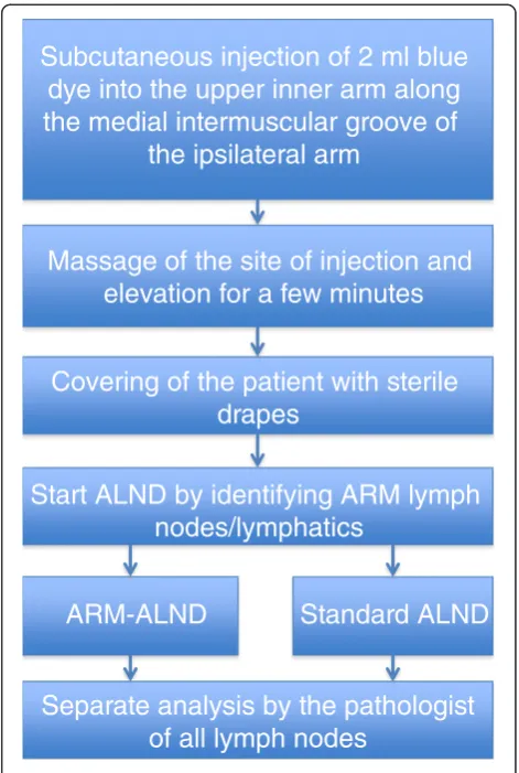 Figure 2 Axillary reverse mapping (ARM) procedure.
