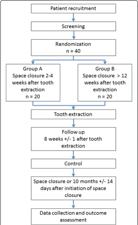Figure 2 Work flow for the study. After recruitment and screeningthe patients will be randomized in one of the two groups