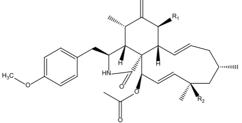 Figure 3. Structures of pyrichalasin H (1) and its acetate analog (2): R1 = R2 = OH; (2): R1 = OAc, R2 = OH