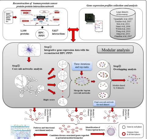 Figure 1 The modular analysis pipeline. Diagram shows identification of candidate disease-associated genes as potential module biomarkerbased on integrative analysis of the reconstructed human prostate cancer protein-protein interaction network (HPC-PPIN) 