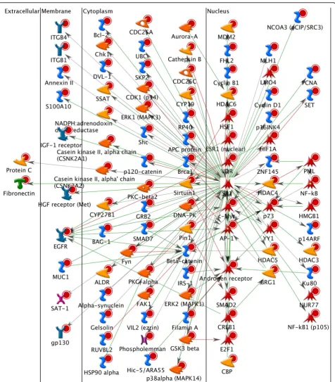 Figure 6 GeneGo graphic representation for module biomarker. It shows a major fraction of 94 candidate disease-associated genes whichwas enriched in the nucleus and different functions were mostly encoded for transcription factors.