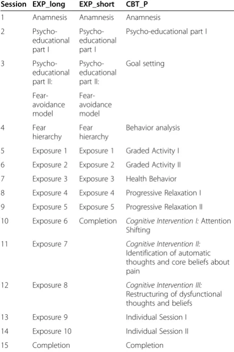 Table 1 Overview treatment sessions