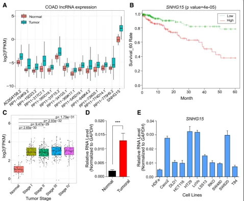 Fig. 1 aWilcoxon signed rank test.CRC (TCGA). Expression of candidate lncRNAs deregulated in CRC tumors compared to normal samples and with higher expression significantlycorrelated with decreased survival of patients analyzed by RNA-seq from The Cancer Ge