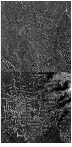 Figure 1.1: The Rainforest Retreats (Photo credit: NASA/Goddard SpaceFlight Center Scientiﬁc Visualization Studio)
