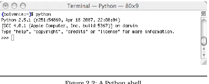 Figure 2.2: A Python shell