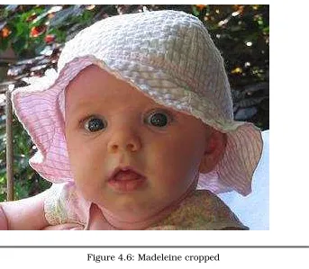 Figure 4.6: Madeleine cropped