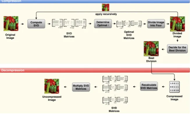 Figure 1. Main stages of the image compression and decompression process. 