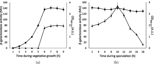Figure 2. Expression of ba1836 gene. (a) B. anthracis 7702 strain, carrying the lacZ tran-activity