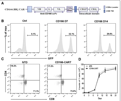 Fig. 2 Generation of CD166-CART cells in vitro.domain in combination with the CD137 costimulatory module (CD166.BBtransmembrane region.cytometry, which detected GFP expression at day 7 and 14.transduced T cell group and CD166-CART group after the transduct