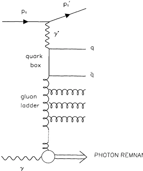Figure 1.3; Feynman diagram used in some QCD models of the low-æ part of the 