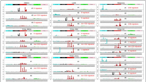 Table 2 Summary of mutational signatures in 9 cancers