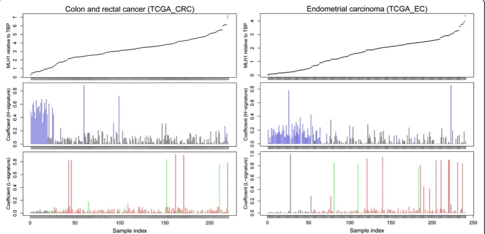 Figure 3 Coefficient distribution of the L- and H-signatures in samples ordered byexpression relative to the house-keeping gene,same order as on the top panel