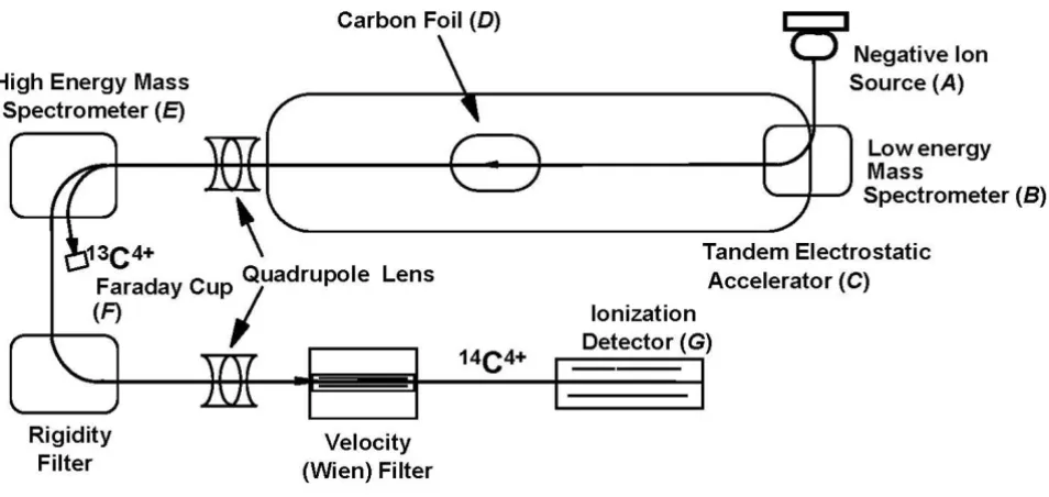 Figure 1Schematic diagram of an accelerator mass spectrometry (AMS)charged ions such as beam currents of relatively abundant and electrostatic cylinder analyzer and the atoms are counted in a gas ionization detector (detector is that it measures energy los
