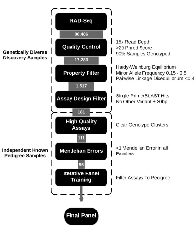 Figure 1- Flowchart detailing workflow for selection of SNP panel for parentage. Each box 