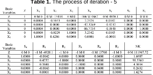 Figure 1. the objective function and constraints 