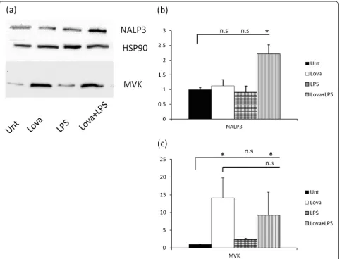 Figure 2 Analysis of inflammasome components expression after LOVA+LPS treatment (a) representative western blot: untreatedn.s.: non significant differences * = p < 0.05condition (UNT), lovastatin (LOVA) 10μM, LPS 0.5 ng/ml, LOVA + LPS double treatment