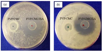 Figure 9. Swelling behavior of hydrogels: G/SA and  G/SA/SB. 