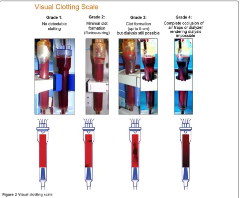 Figure 2 Visual clotting scale.