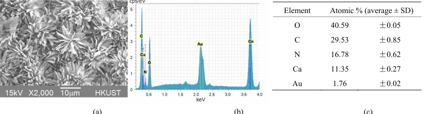 Figure 2. (a) SEM photo of the precipitate, (b) EDX spectrum and (b) Atomic concentration of the precipitate in elemental analysis using EDX (average   ± SD)
